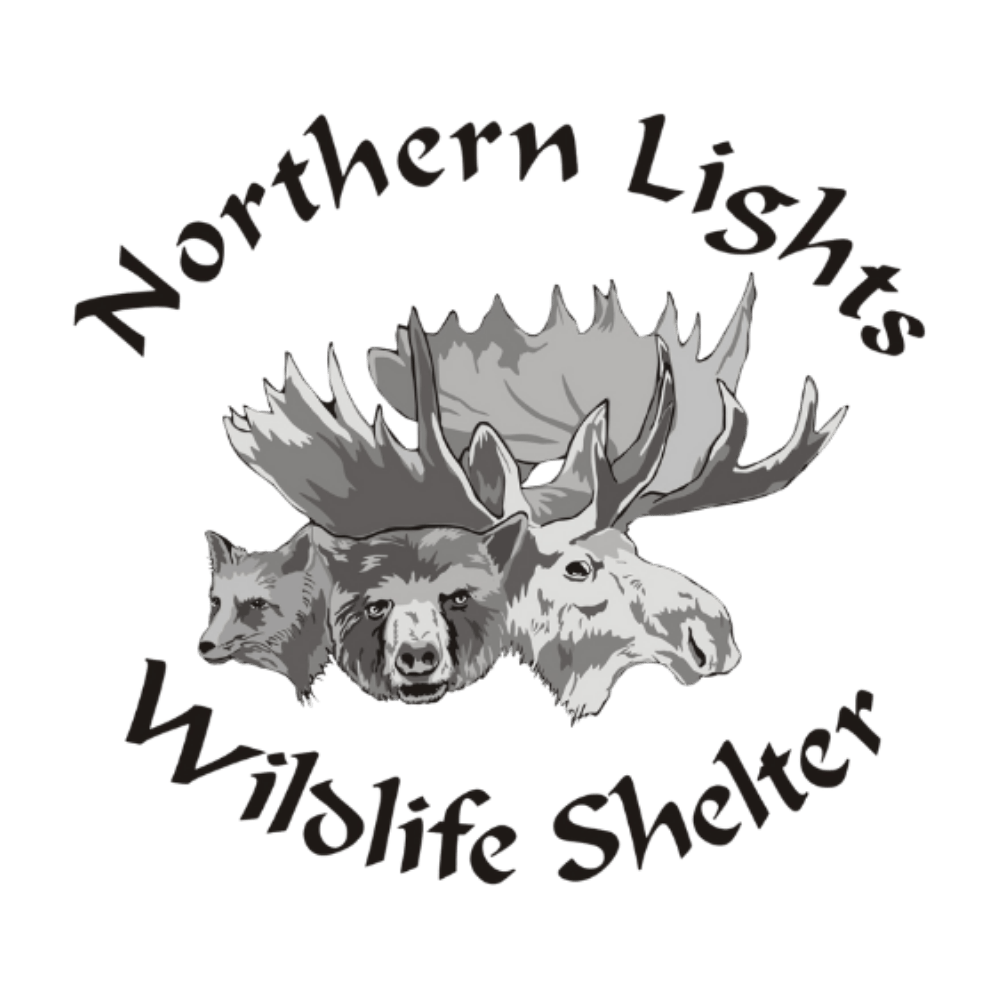 northern-lights-wildlife-shelter-logo-1